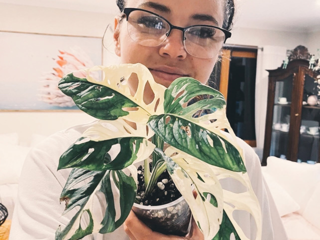 28 EAD529 6 AA2 489 C A37 D 47 A5 DD2468 FC