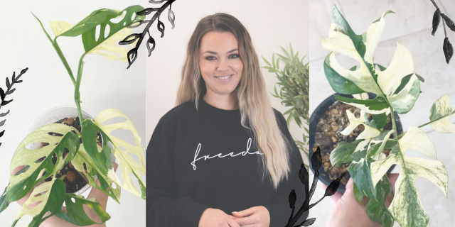 Untitled design 49 copy